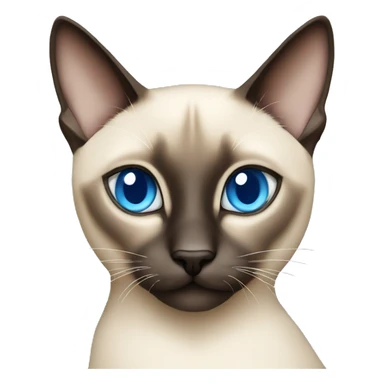  one siamese cat with blue eyes sticker