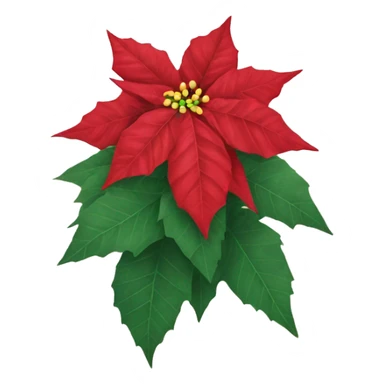 Poinsettia sticker