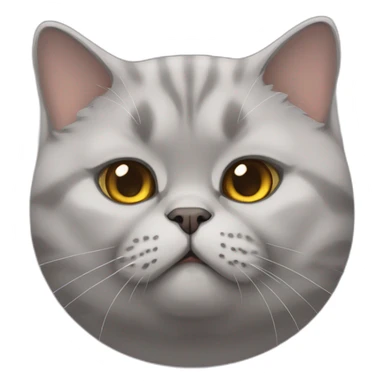 Chubby British shorthaired cat sticker