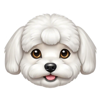 Perro bichon maltés  sticker