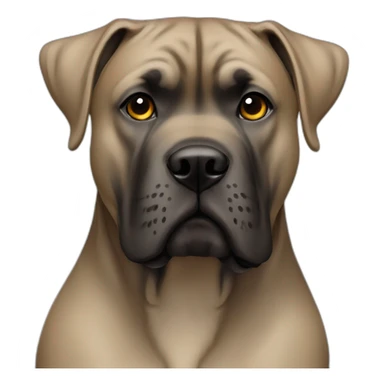 dog Cane Corso color fawn full body sticker