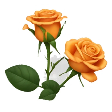 orange rose sticker