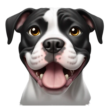 Black and white pitbull making a funny face sticker