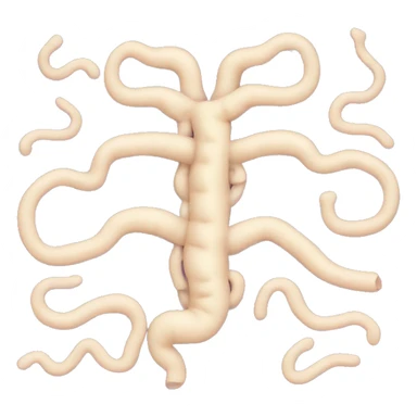intestinal tract  sticker