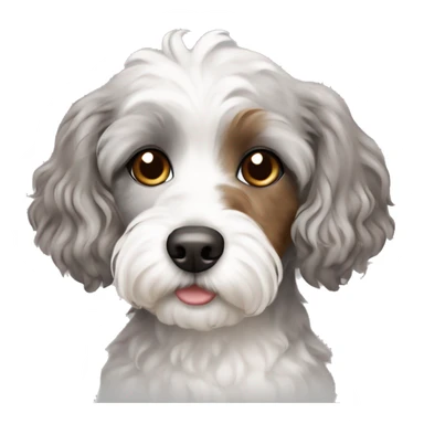 Cute grey and white Havapoo with brown hair around the nose sticker