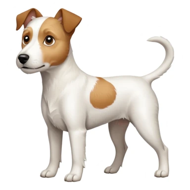 a full body large white parson russell terrier looking dog the size of a kelpie with light brown long ears and a light brown patch on one eye and a large snout sticker