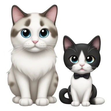 2 cats one is a ragdoll and the other is a tuxedo cat sticker