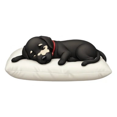 A cute black Labrador sleeping on a pillow. sticker