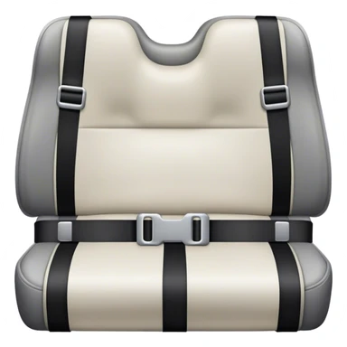 plane seat belt waist sticker