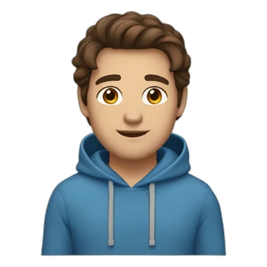 guy with middle long brown hair, big brown eyes and blu hoodie sticker