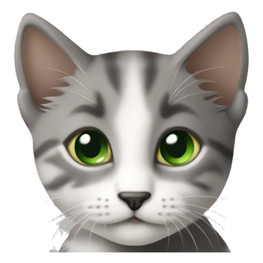 ￼tricolor (dark grey, brown, light grey) kitten with green eyes sticker