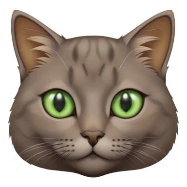 brownish gray cat with green eyes close together sticker