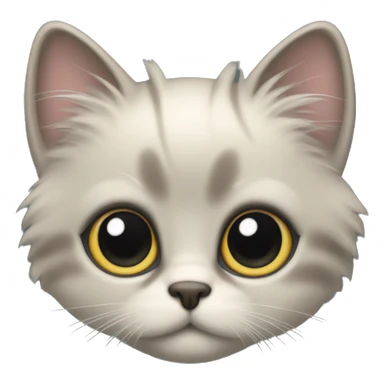 A dometic long hair kitten with super round and big eyes sticker