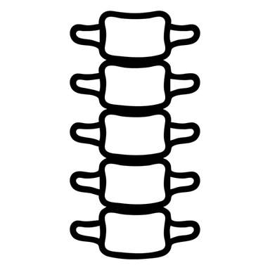 human spine icon, black outlined, no fill, X-ray style sticker
