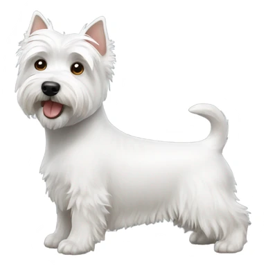 Westie terrier sticker
