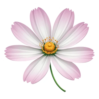 cosmos flower, white petals, delicate look sticker