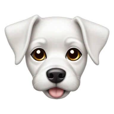 white maltes dog, with black ears and black side aroud the left eye. Brigth brown eyes sticker