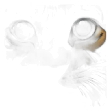 Leerkracht wijzen sticker