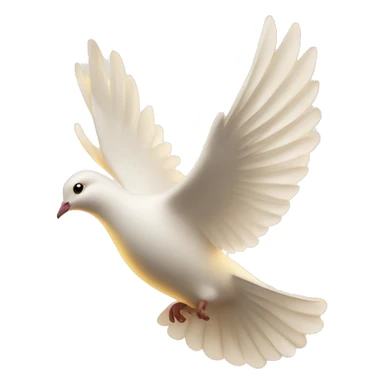 Flying white dove in golden light  sticker