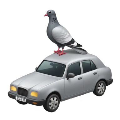 Car with a pigeon on the roof sticker