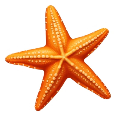 starfish on sandy beach, top-down view sticker