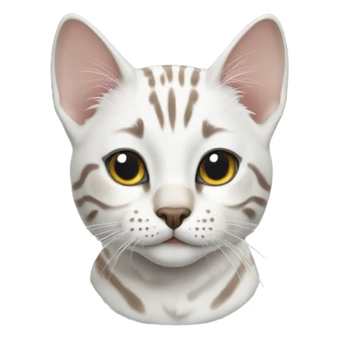 white bengal cat sticker