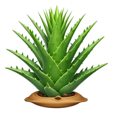 aloe sticker