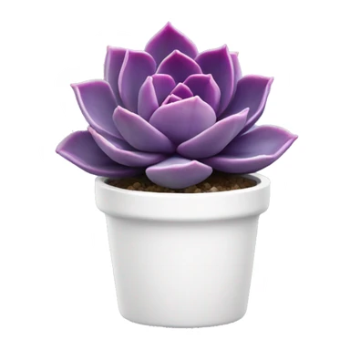 Purple echeveria succulent in white pot sticker
