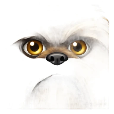 brussels griffon ewok, angry and wild sticker