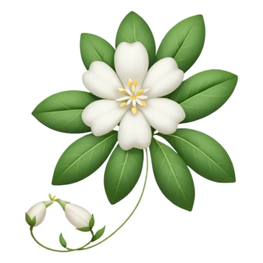 All jasmine flowers are tied together with white thread the thread should not be visible sticker