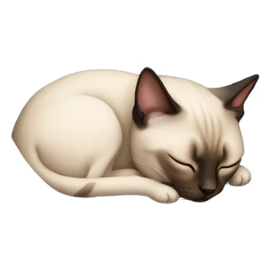 Sleeping siamese cat in a ball sticker