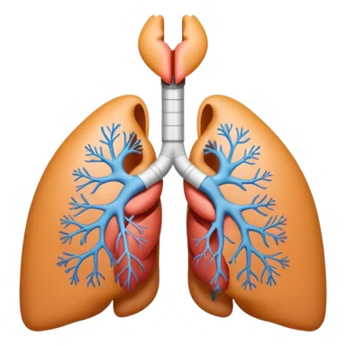 A 3D cartoon medical diagram showing lungs and airways inside a human silhouette, realistic Memoji-style. sticker