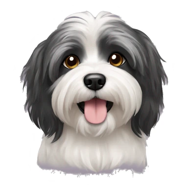 a havanese dog sticker