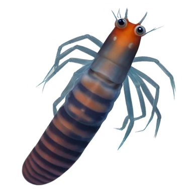 Caribbean Dwarf Filter Shrimp(11) sticker