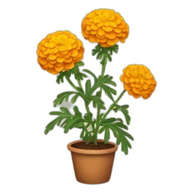 MARIGOLD PLANT sticker
