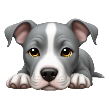 Gray Pitbull puppy laying  sticker