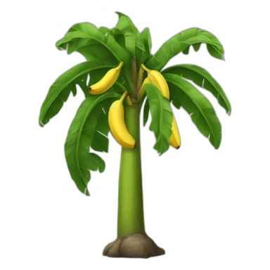 Banana tree sticker