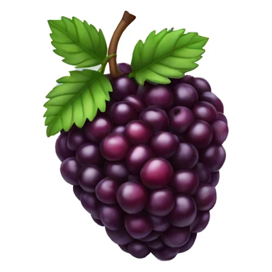 Blackberry fruit sticker