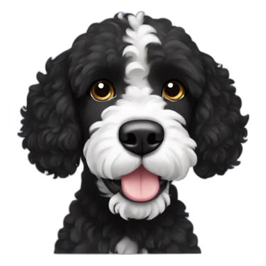 black face Portuguese water dog with white chin sticker