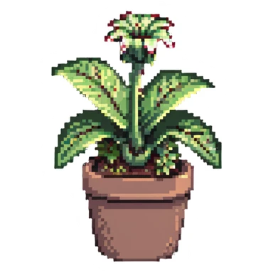 Venus flytrap plant sticker