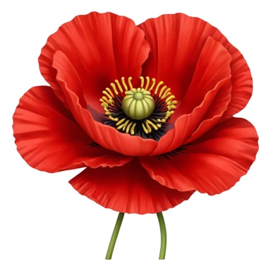 Red poppy flower sticker