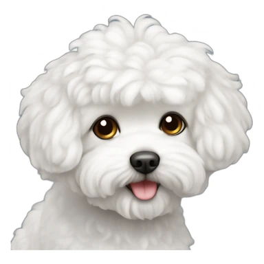 Bichon maltais sticker
