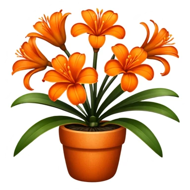 Clivia plant with six petals on the flowers sticker