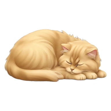 British longhair golden shaded sleeping  sticker