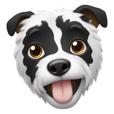 Black and white caboodle with brown eye sticker