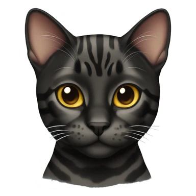 Black bengal cat  sticker