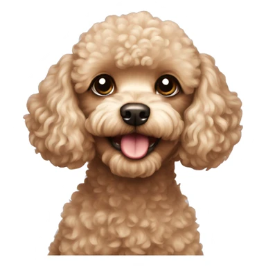 Toy poodle sticker