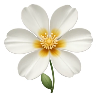 Flor de Lopus branco mas ver ao lado  sticker