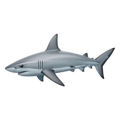 Hawaiian reef shark sticker