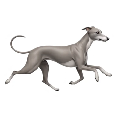 Greyhound running linear sticker